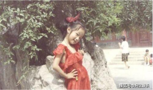 吃瓜娱乐圈贵妃是谁